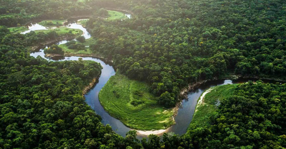 Tehnologija Buletedan