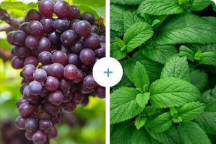 Tehnologija Buletedan