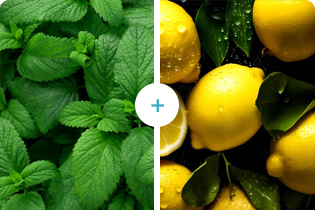 Tehnologija Buletedan